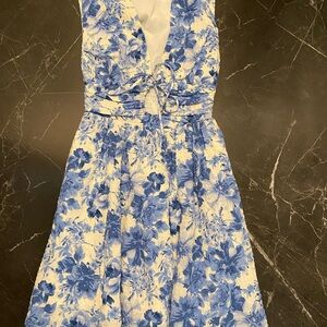 Floral Blue and White Dress
